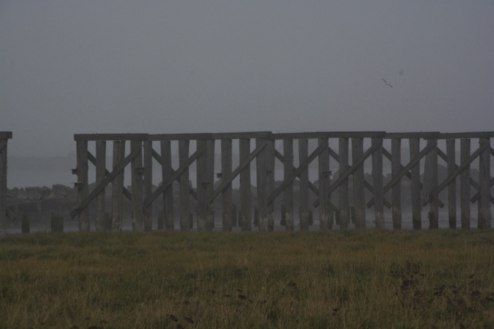 trestle for hauling jetty rocks